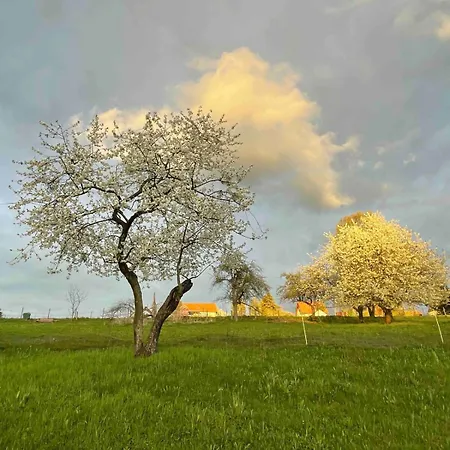 Bernhardsteinblick Niederdorla