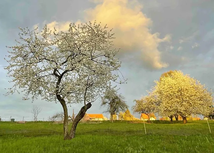 Bernhardsteinblick Niederdorla