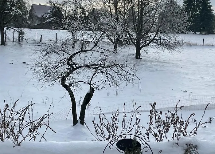 Апартаменты Bernhardsteinblick